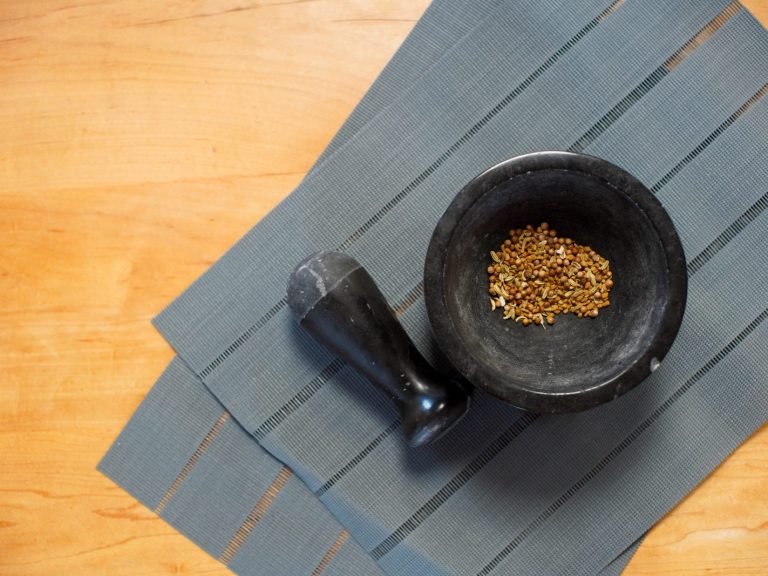 mustard seeds and fennel ready to be crushed with a black mortar and pestle on a grey fabric background